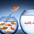 برای افرادمدنظرشما حتی اگر درلیست سیاه باشند پیامک با متن دلخواهتون رو ارسال کنم