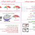 سئو سایتتون رو فوق العاده ببرم بالا