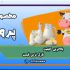 پوستر و بنر طراحی کنم