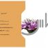 کارت ویزیت طراحی کنم