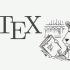 اسلایدهای انگلیسی شما را در قالب Latex برایتان آماده کنم.