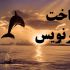 روی فیلم های شما زیرنویس کاملا هماهنگ قرار بدم
