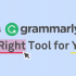 غلط ‌یابی املایی و انشایی آنلاینGrammarlyو بررسی سرقت علمی(Plagiarism) انجام بدم