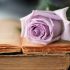 برای شما داستان کوتاه ، متن بنویسم و کار ایده پردازی و ویرایش رو انجام بدم .