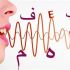 فایل  های صوتی و فیلم های شما را به فایل متنی تبدیل کنم