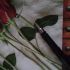برای خوانندگان پاپ ترانه بنویسم