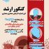 برات پوستر طراحی کنم