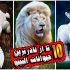 تدوین و نریشن و صداگذاری برای ویدیوهای شما انجام بدم حتی ادیت یوتیوبی ..