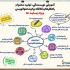 اینفوگرافیک،جذاب ،استاندارد و با کیفیت طراحی کنم