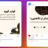 طراحی پست ، استوری و قالب اینستاگرام براتون انجام بدم