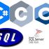 پیاده سازی، طراحی، مشاوره پروژه های نرم افزاری  به زبانهای  C,++Cو#C انجام بدم.
