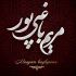 به شما یک لوگوتایپ زیبا ارائه کنم