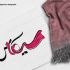 برای شرکت یا مغازه شما لوگو طراحی کنم.