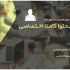 با رعایت تمام استاندارد‌ها، محتوای کاملا یونیک ( اختصاصی ) براتون تولید کنم