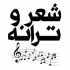 ترانه سرایی و شعر و داستان و متون احساسی و عاشقانه و... را برای شما انجام بدم