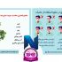 تولید محتوا ،طراحی و مدیریت پیج اینستاگرام شما رو انجام دهم