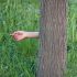 برای موضوع ،مفهوم یا محتوای موردنظر شما عکاسی کنم