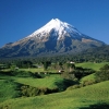 alireza_515