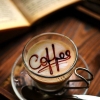 p_shahbazi