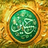 hosseinmashmol1-73