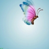 Adak239