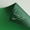 DaniyalBaghi