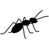 abolfazlmarj