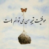 milad.ebrahimi745