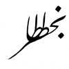 taheriali1-97