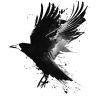 TheRaven