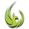 ngo.qoqnoo-1