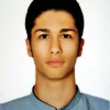 alipar-8