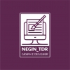 negin_tdr