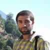 dashti.ali66
