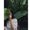 ngnnm-72