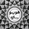 zahrarezaei9069