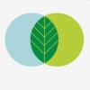thegraphicdesigner