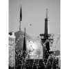 shp0098-24