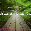 samineh1380