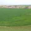 hesamiran13