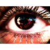 fateme_Ajerli