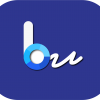 Blue_Programming