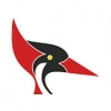 Darkoob-20