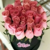 anylwfr167