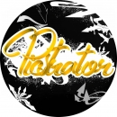Picstrator