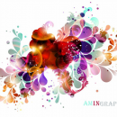 amingraphist