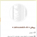 zahra.asalch-85