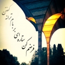 s.jamalsajj-98