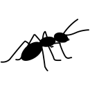 abolfazlmarj
