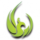 ngo.qoqnoo-1